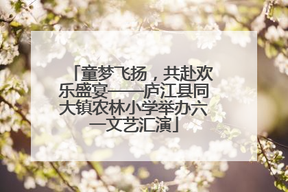 童梦飞扬，共赴欢乐盛宴——庐江县同大镇农林小学举办六一文艺汇演