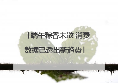 端午粽香未散 消费数据已透出新趋势