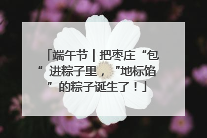 端午节｜把枣庄“包”进粽子里，“地标馅”的粽子诞生了！