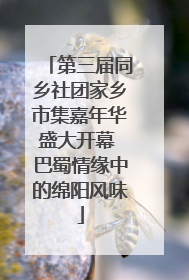 第三届同乡社团家乡市集嘉年华盛大开幕 巴蜀情缘中的绵阳风味
