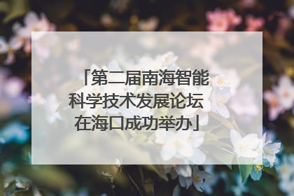 第二届南海智能科学技术发展论坛在海口成功举办
