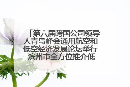 第六届跨国公司领导人青岛峰会通用航空和低空经济发展论坛举行 滨州市全方位推介低空经济发展优势