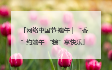 网络中国节·端午｜“香”约端午 “粽”享快乐