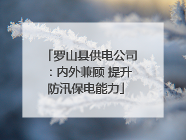 罗山县供电公司：内外兼顾 提升防汛保电能力