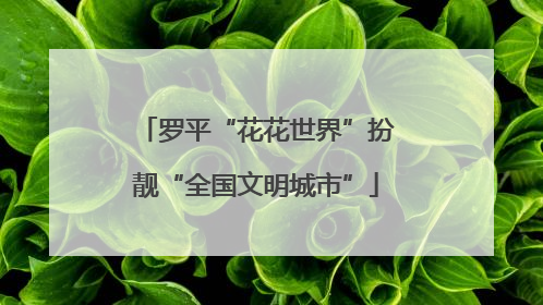 罗平“花花世界”扮靓“全国文明城市”