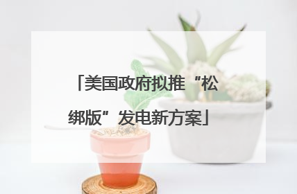 美国政府拟推“松绑版”发电新方案