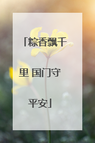 粽香飘千里 国门守平安