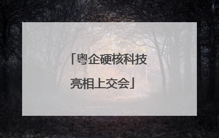 粤企硬核科技亮相上交会