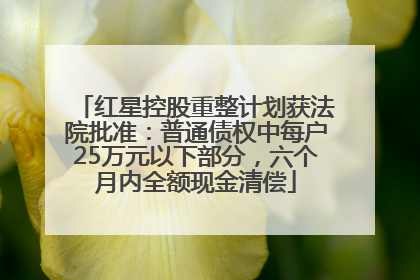 红星控股重整计划获法院批准：普通债权中每户25万元以下部分，六个月内全额现金清偿