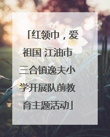 红领巾，爱祖国 江油市三合镇逸夫小学开展队前教育主题活动
