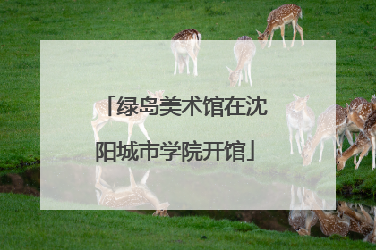 绿岛美术馆在沈阳城市学院开馆