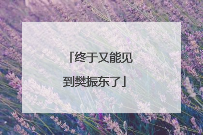 终于又能见到樊振东了