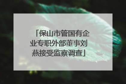 保山市管国有企业专职外部董事刘燕接受监察调查