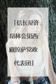信长星许昆林会见西藏拉萨党政代表团