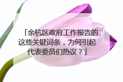 余杭区政府工作报告的这些关键词条，为何引起代表委员们热议？