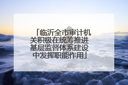 临沂全市审计机关积极在统筹推进基层监督体系建设中发挥职能作用