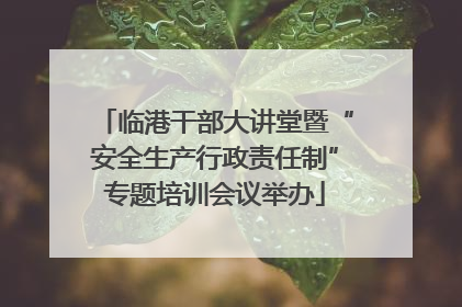 临港干部大讲堂暨“安全生产行政责任制”专题培训会议举办