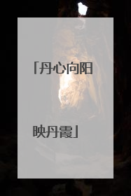 丹心向阳映丹霞