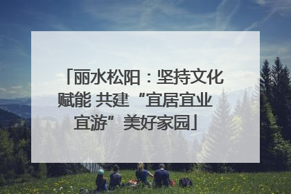 丽水松阳：坚持文化赋能 共建“宜居宜业宜游”美好家园