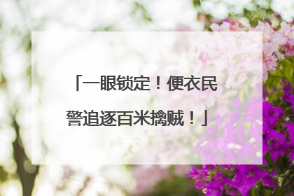 一眼锁定！便衣民警追逐百米擒贼！