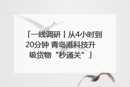 一线调研丨从4小时到20分钟 青岛港科技升级货物“秒通关”