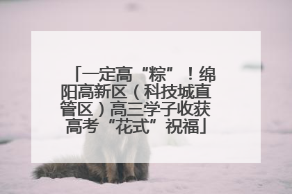 一定高“粽”！绵阳高新区（科技城直管区）高三学子收获高考“花式”祝福