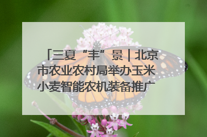 三夏“丰”景｜北京市农业农村局举办玉米小麦智能农机装备推广“田间日”活动