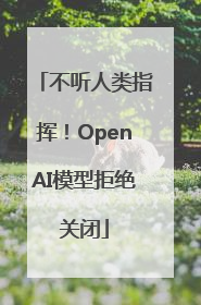不听人类指挥！OpenAI模型拒绝关闭
