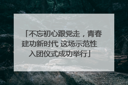 不忘初心跟党走，青春建功新时代 这场示范性入团仪式成功举行