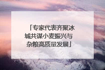 专家代表齐聚冰城共谋小麦振兴与杂粮高质量发展
