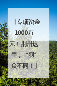 专项资金1000万元！荆州这里，“羽”众不同！