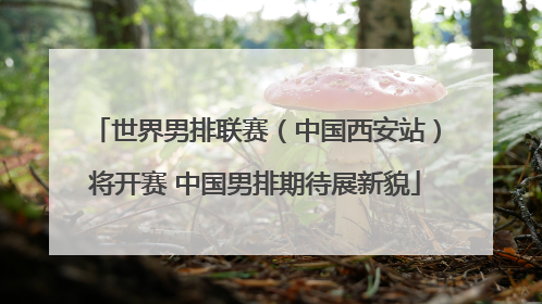 世界男排联赛（中国西安站）将开赛 中国男排期待展新貌