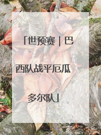 世预赛｜巴西队战平厄瓜多尔队