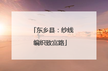 东乡县：纱线编织致富路