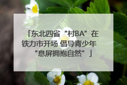 东北四省“村BA”在铁力市开场 倡导青少年“息屏拥抱自然”