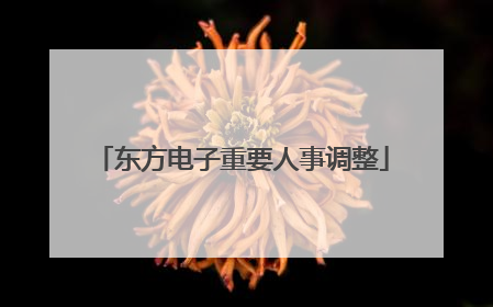 东方电子重要人事调整