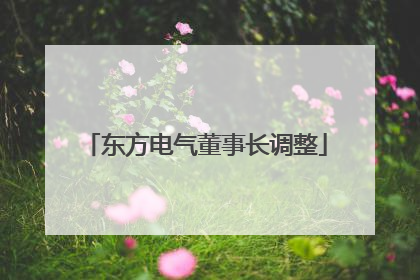 东方电气董事长调整