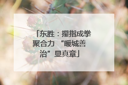 东胜：攥指成拳聚合力 “暖城善治”显真章