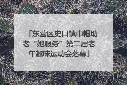 东营区史口镇巾帼助老“她服务”第二届老年趣味运动会落幕