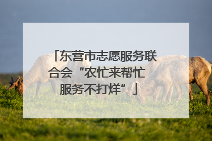 东营市志愿服务联合会“农忙来帮忙 服务不打烊”