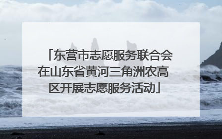 东营市志愿服务联合会在山东省黄河三角洲农高区开展志愿服务活动