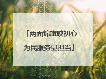 两面锦旗映初心 为民服务显担当