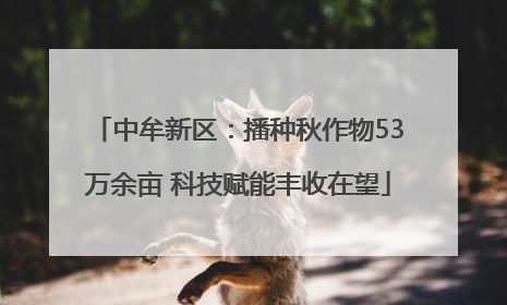 中牟新区：播种秋作物53万余亩 科技赋能丰收在望