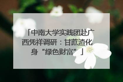中南大学实践团赴广西凭祥调研：甘蔗渣化身“绿色财富”