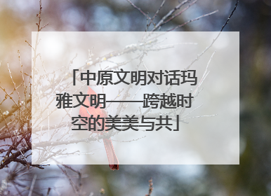 中原文明对话玛雅文明——跨越时空的美美与共