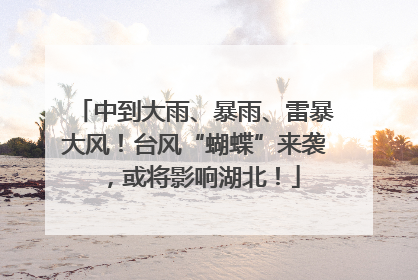 中到大雨、暴雨、雷暴大风！台风“蝴蝶”来袭，或将影响湖北！