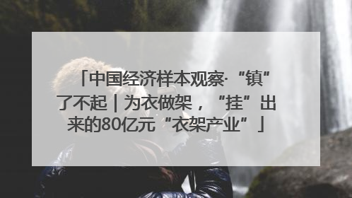 中国经济样本观察·“镇”了不起｜为衣做架，“挂”出来的80亿元“衣架产业”