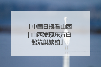 中国日报看山西｜山西发现东方白鹳筑巢繁殖