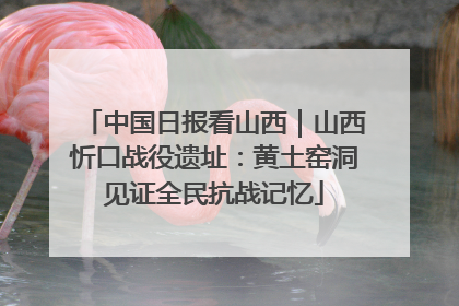 中国日报看山西｜山西忻口战役遗址：黄土窑洞见证全民抗战记忆