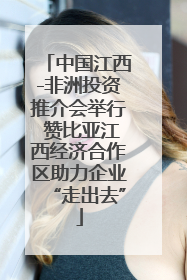 中国江西-非洲投资推介会举行 赞比亚江西经济合作区助力企业“走出去”